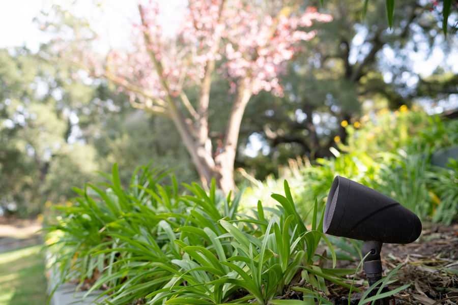 Take the Music Up a Notch with a Premium Backyard Sound System